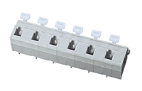 WKV100A-XXP 0.394 Inch (in) Pitch Diameter Printed Circuit Board (PCB) Terminal Block